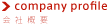 company profile